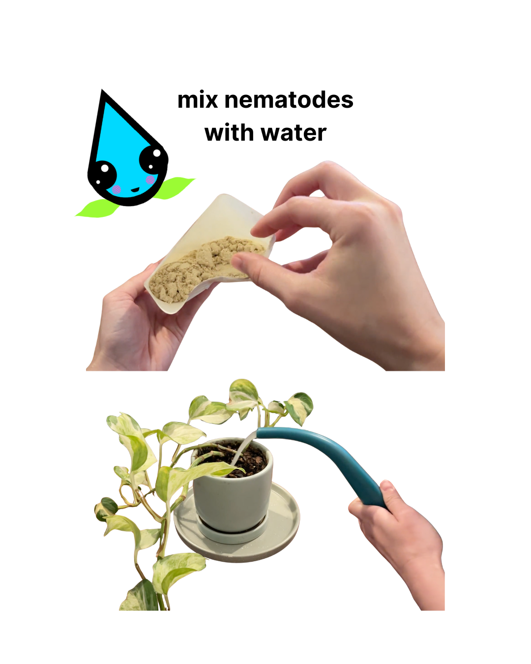 Nematodes Sc - Bags - Image 2
