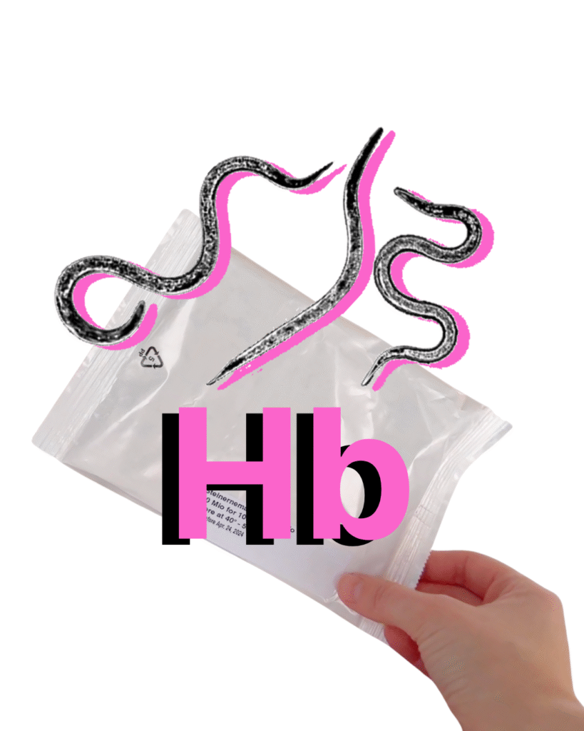 Nematodes Hb - Bags