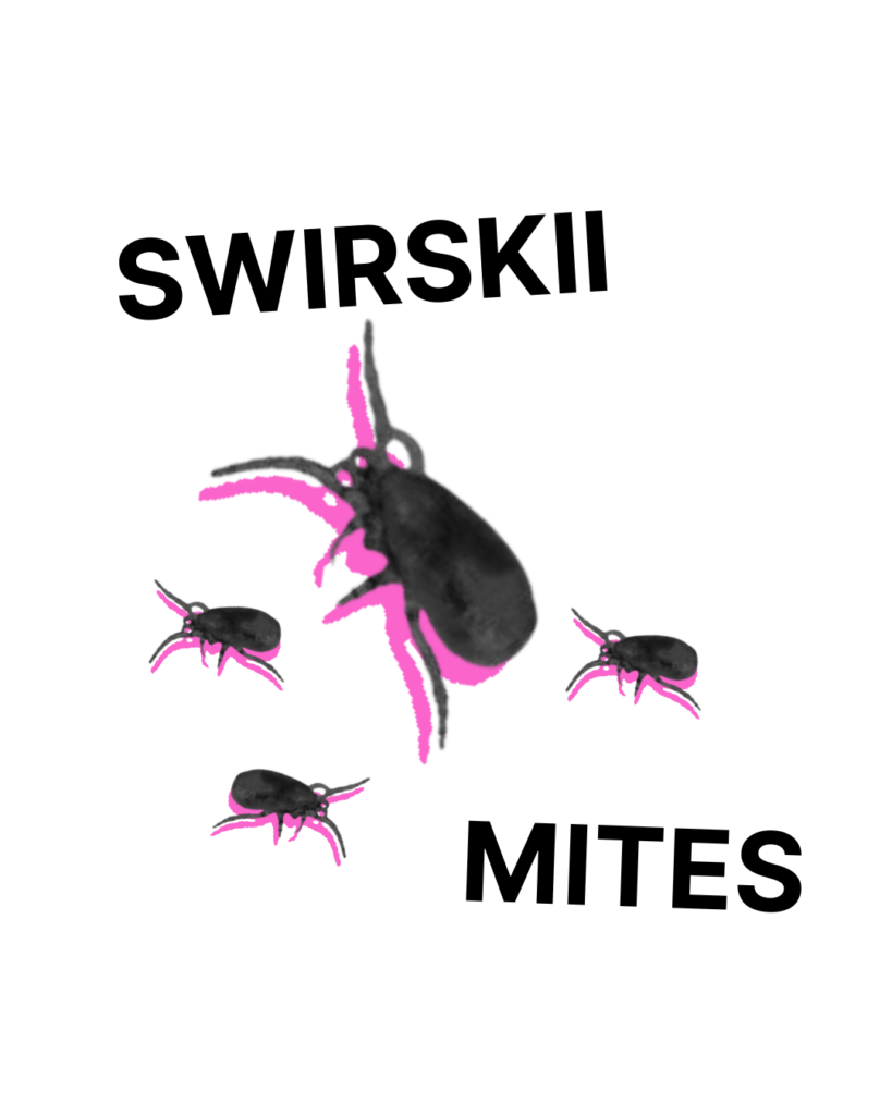 Swirskii Mites - Tubes/Bottles/Containers