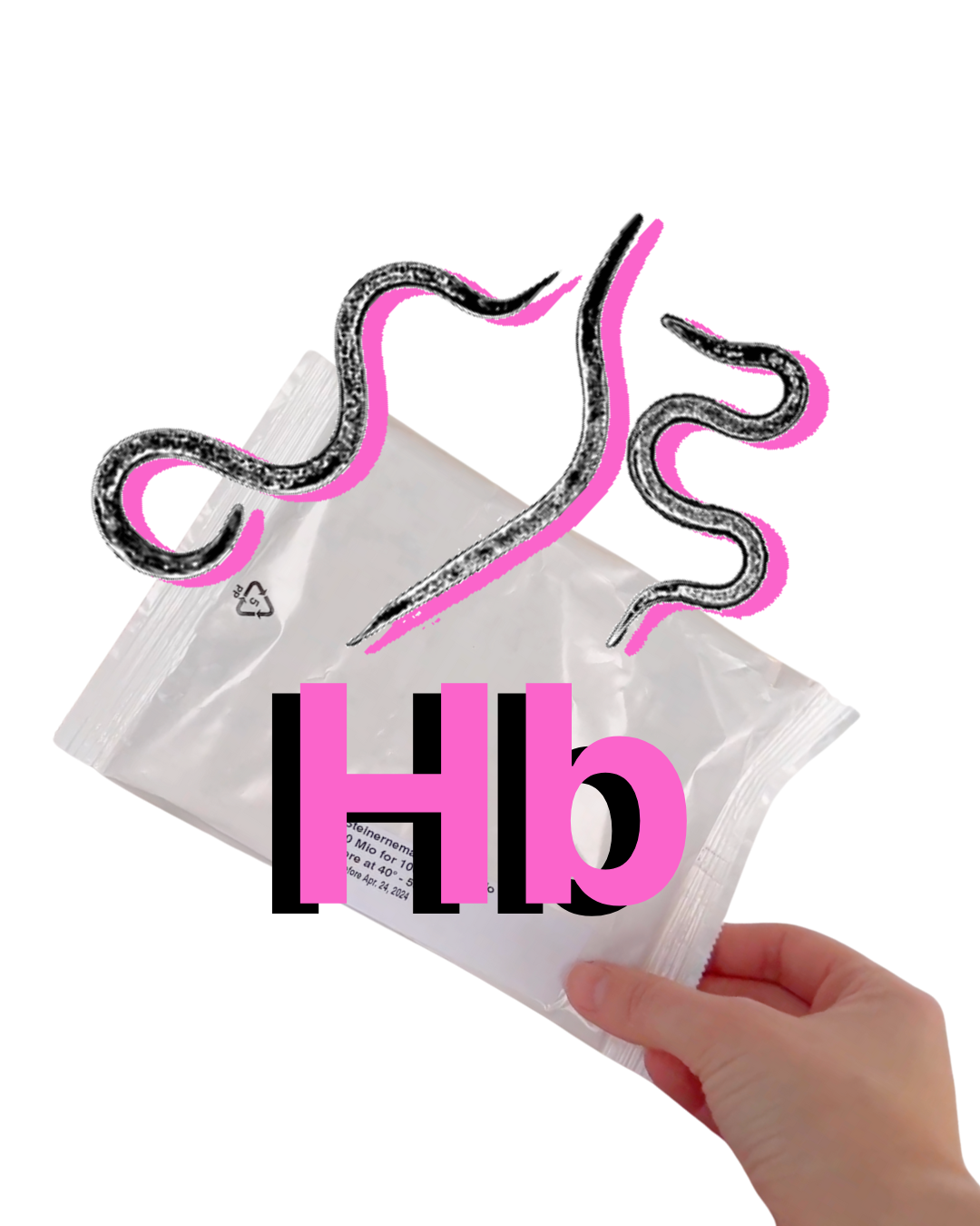 Nematodes Hb - Bags